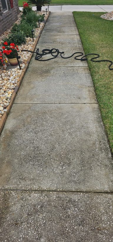Before Pressure wash A concrete walkway lined with flowers and a garden hose.