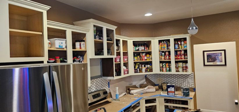 Remodeling Modern kitchen with white cabinets, stainless steel appliances, and organized pantry items.